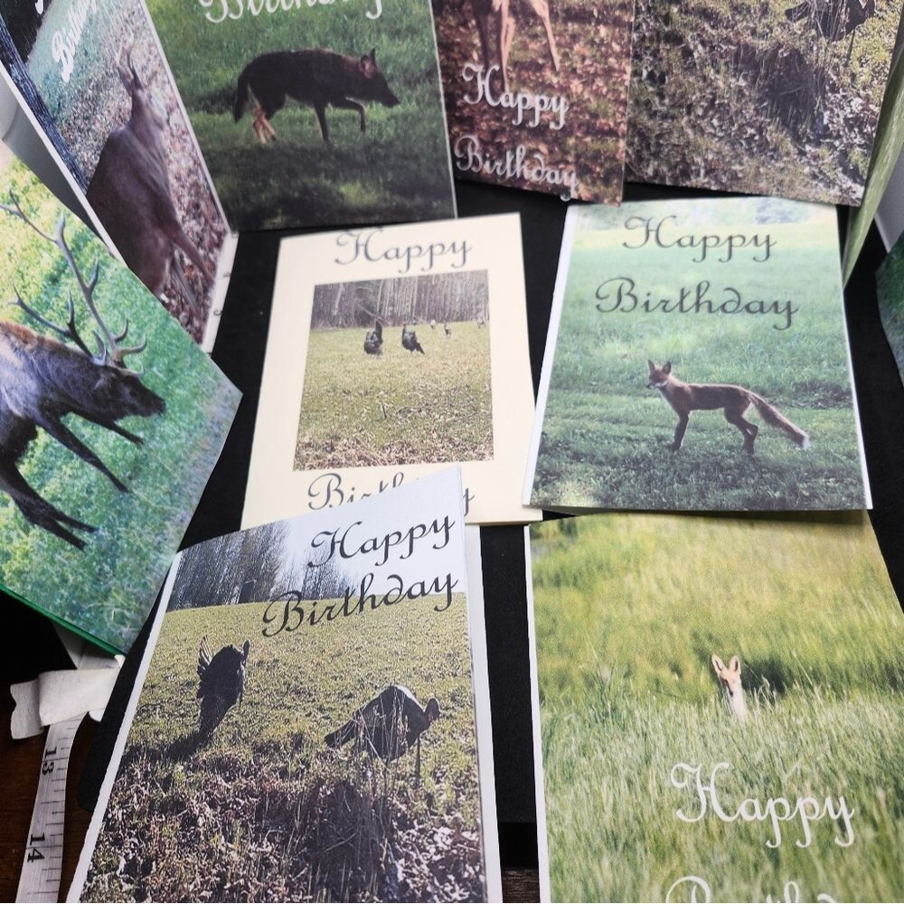 Hand Crafted Nature-Themed Birthday Cards Set Of 12